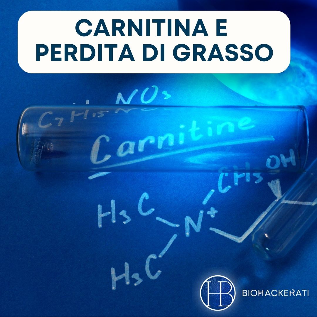 Carnitina, vero alleato per la perdita di peso?