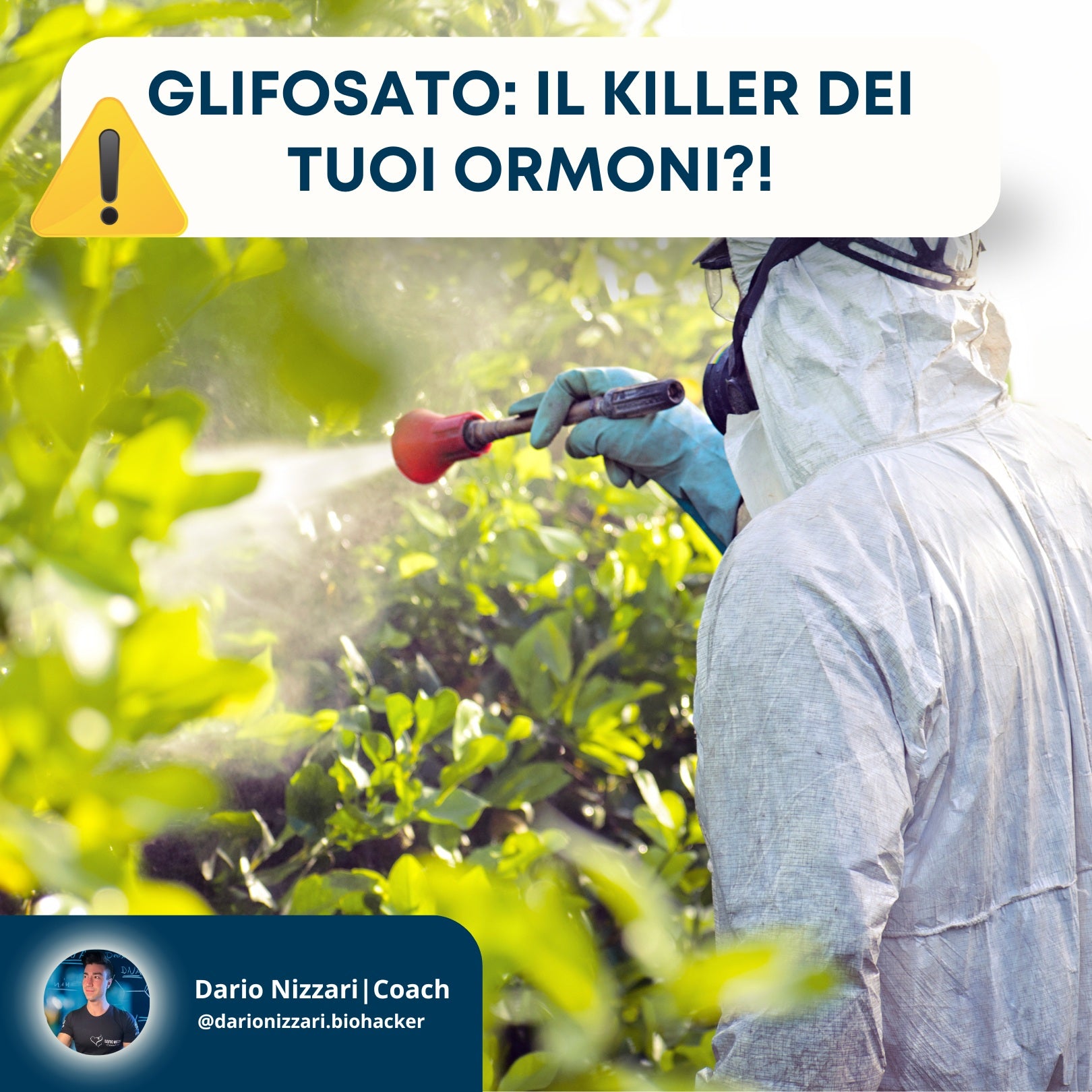 Glifosato : il killer dei tuoi ormoni?!